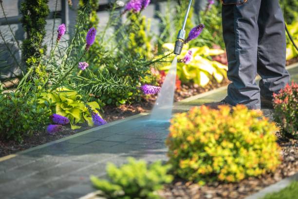 Best Pool Deck Cleaning  in Whitesboro, NY